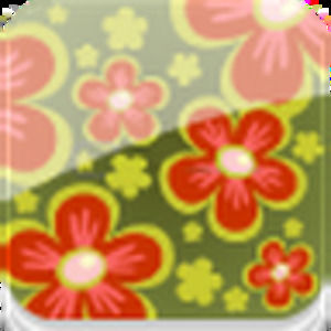 Meet your Posher, Cherri